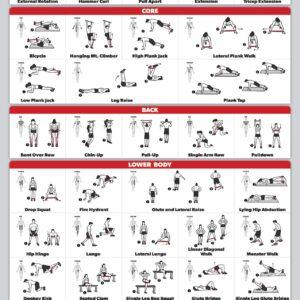 Resistance band exercise chart opdf file