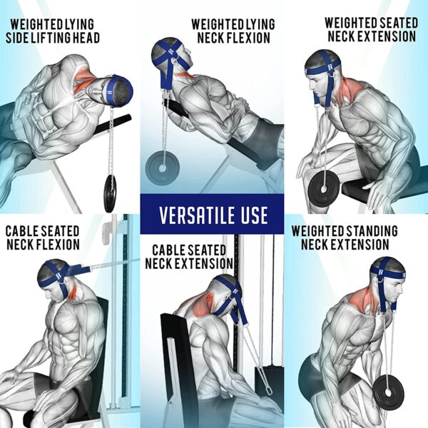 head neck harness exercise chart