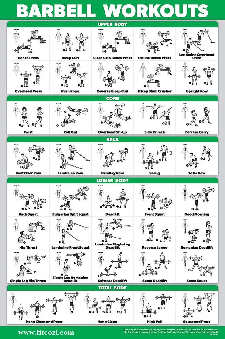 Barbell workout guides