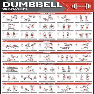 Free Suspension Workout Chart
