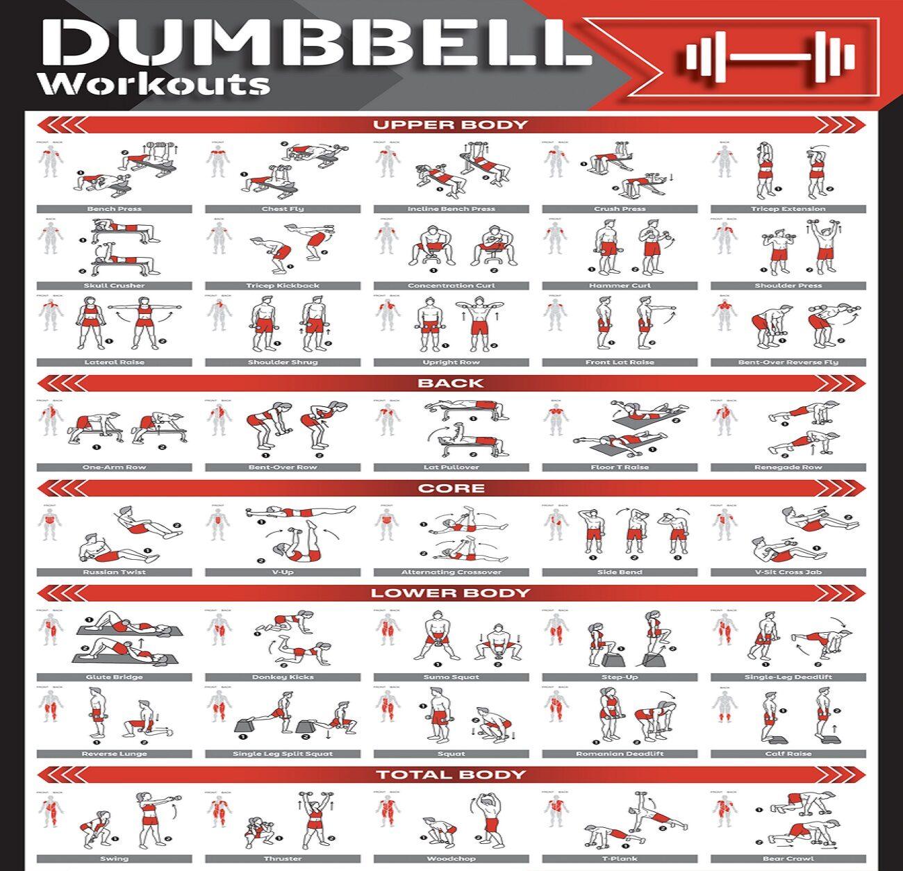 Dumbbell workout chart | Fitcozi