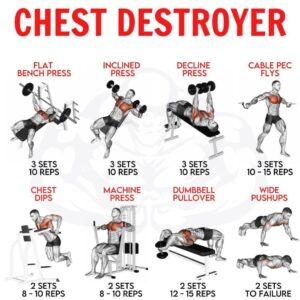 chest workout chart