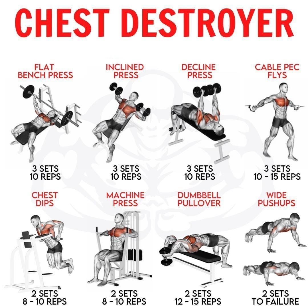 chest workout chart