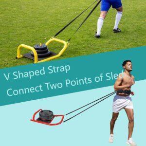 running Weighted Training Waist Belt for Pulling Sled and Tires