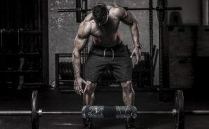Barbell Pad for Squats, Lunges and Hip Thrusts best in india