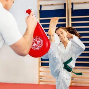 Taekwondo Kick Pads for training