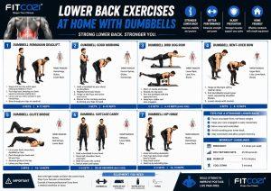 FITCOZI lower back exercises at home with dumbbells including Romanian deadlift, good morning, bird dog row and glute bridge